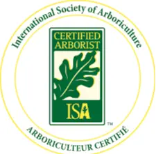 IICRC-certified cleaning specialist tested badge